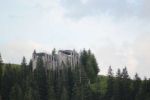 2014-07-05_Laengental-N-Hochweg (818). JPG